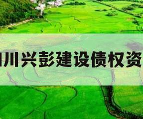 四川兴彭建设债权资产