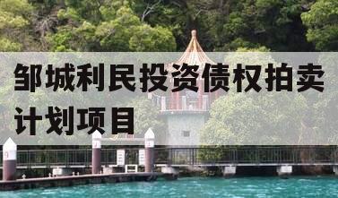 邹城利民投资债权拍卖计划项目 邹城利民投资债权拍卖计划项目