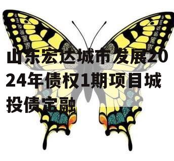 山东宏达城市发展2024年债权1期项目城投债定融