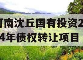 河南沈丘国有投资2024年债权转让项目