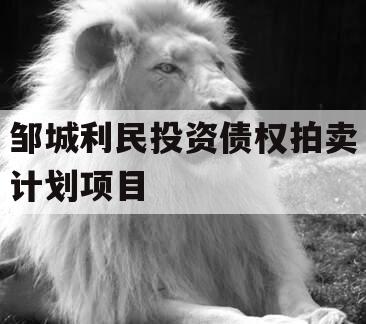 邹城利民投资债权拍卖计划项目