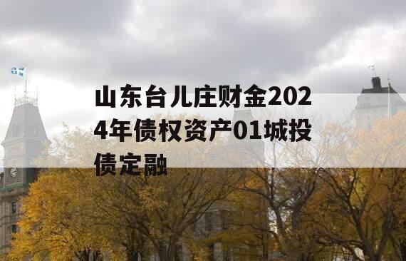 山东台儿庄财金2024年债权资产01城投债定融