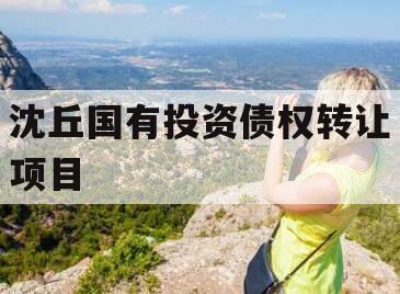 沈丘国有投资债权转让项目