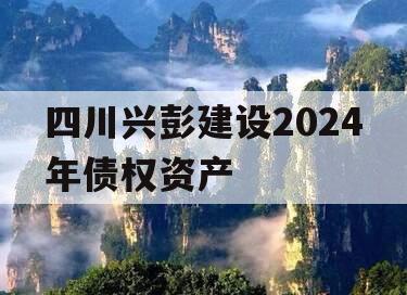 四川兴彭建设2024年债权资产