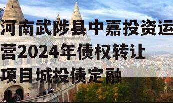 河南武陟县中嘉投资运营2024年债权转让项目城投债定融