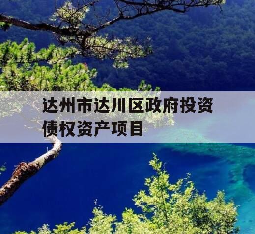 达州市达川区政府投资债权资产项目