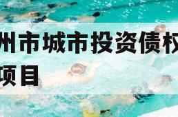 林州市城市投资债权转让项目