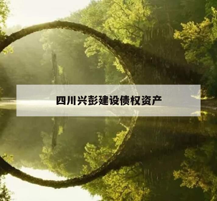 四川兴彭建设债权资产