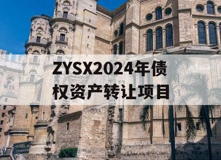 ZYSX2024年债权资产转让项目