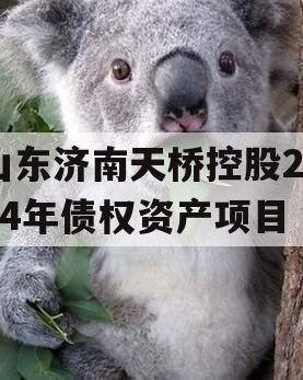 山东济南天桥控股2024年债权资产项目