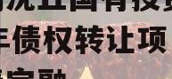河南沈丘国有投资2024年债权转让项目城投债定融