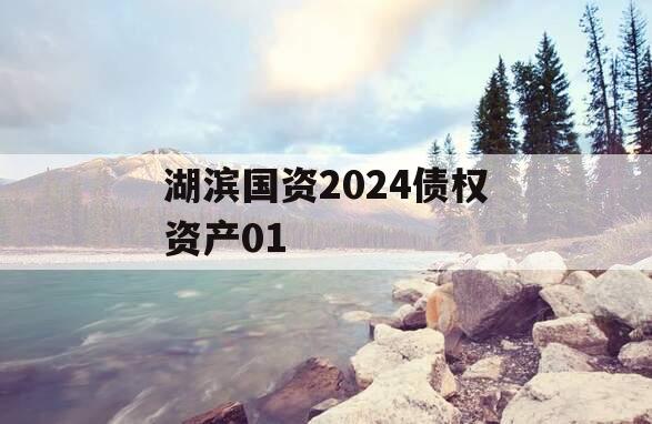 湖滨国资2024债权资产01