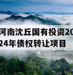 河南沈丘国有投资2024年债权转让项目