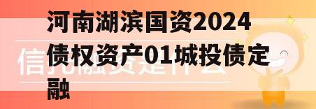 河南湖滨国资2024债权资产01城投债定融
