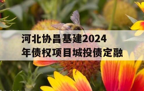 河北协昌基建2024年债权项目城投债定融