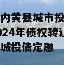 河南内黄县城市投资开发2024年债权转让项目城投债定融