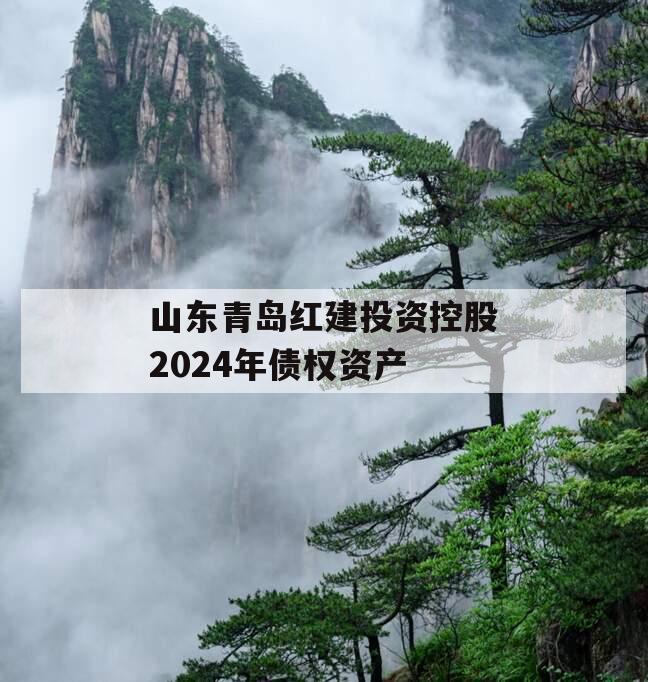 山东青岛红建投资控股2024年债权资产 山东青岛红建投资控股2024年债权资产