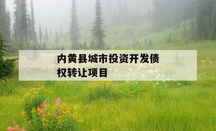 内黄县城市投资开发债权转让项目