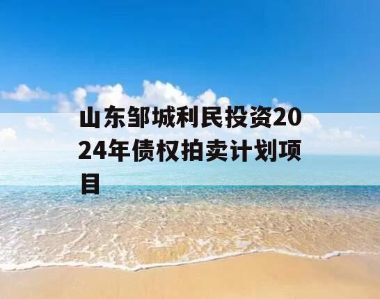 山东邹城利民投资2024年债权拍卖计划项目