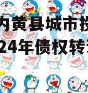 河南内黄县城市投资开发2024年债权转让项目