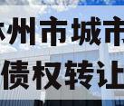 河南林州市城市投资2024年债权转让项目