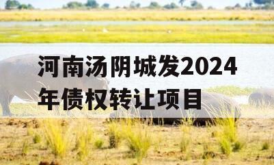 河南汤阴城发2024年债权转让项目