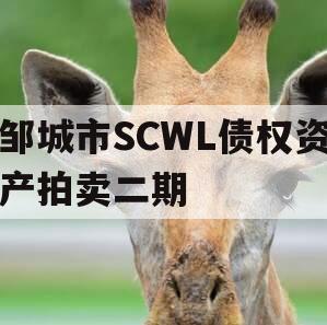邹城市SCWL债权资产拍卖二期