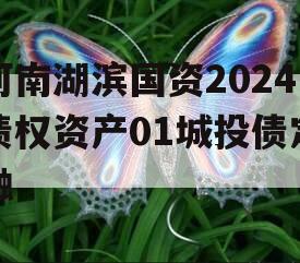 河南湖滨国资2024债权资产01城投债定融