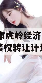 济源市虎岭经济发展2024债权转让计划