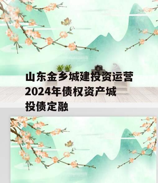 山东金乡城建投资运营2024年债权资产城投债定融