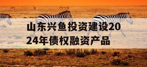 山东兴鱼投资建设2024年债权融资产品