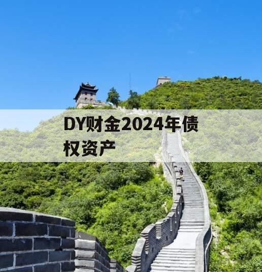 DY财金2024年债权资产