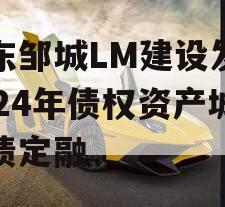 山东邹城LM建设发展2024年债权资产城投债定融