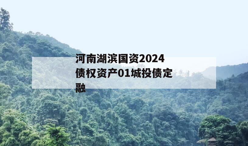 河南湖滨国资2024债权资产01城投债定融