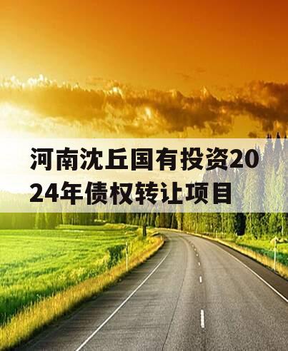 河南沈丘国有投资2024年债权转让项目