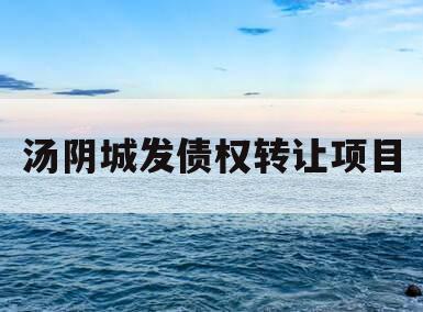 汤阴城发债权转让项目