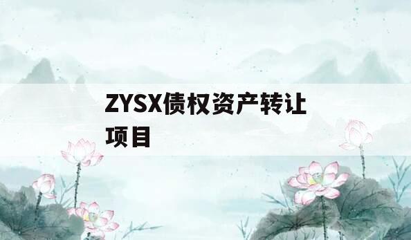 ZYSX债权资产转让项目