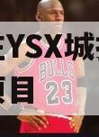 石家庄YSX城投债权转让项目
