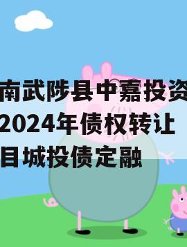 河南武陟县中嘉投资运营2024年债权转让项目城投债定融
