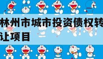 林州市城市投资债权转让项目