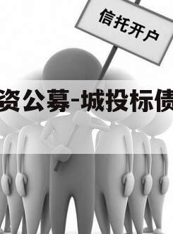 国资公募-城投标债资管