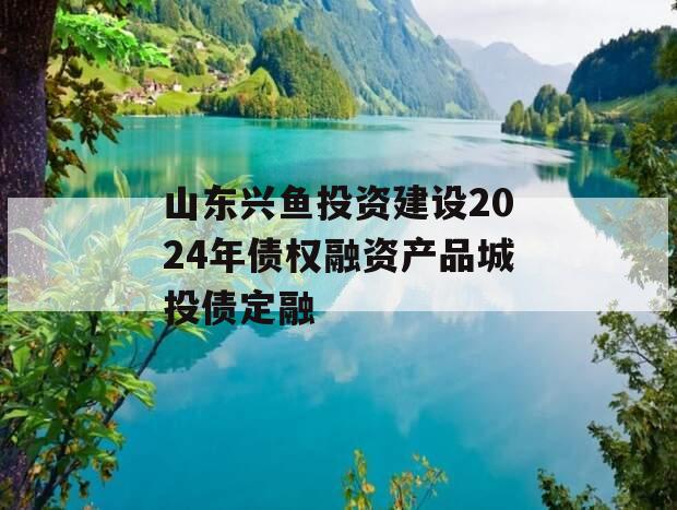 山东兴鱼投资建设2024年债权融资产品城投债定融