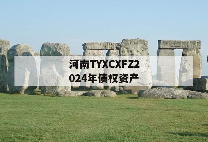 河南TYXCXFZ2024年债权资产