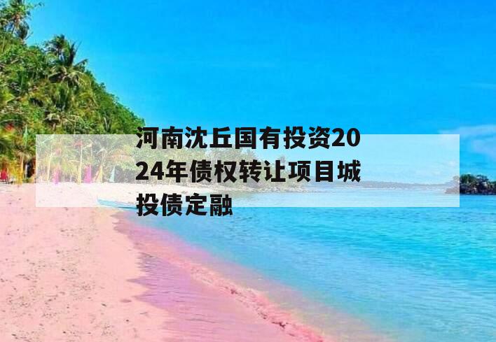 河南沈丘国有投资2024年债权转让项目城投债定融