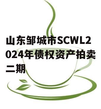 山东邹城市SCWL2024年债权资产拍卖二期