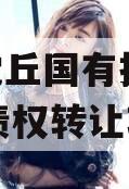 河南沈丘国有投资2024年债权转让项目