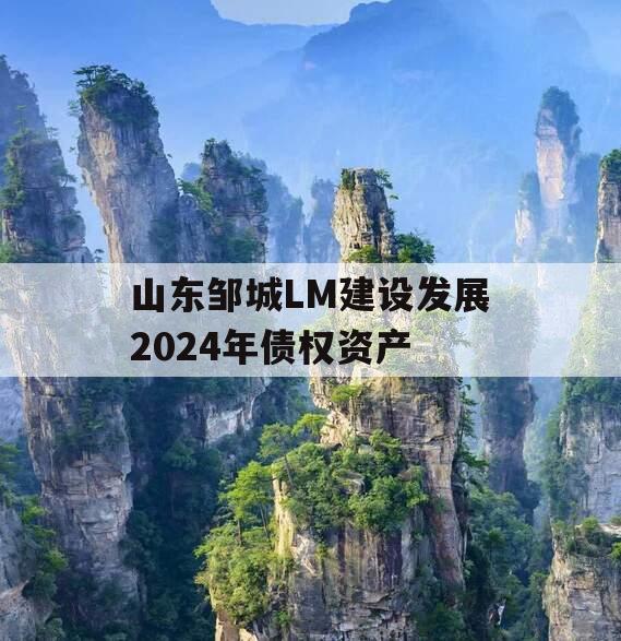 山东邹城LM建设发展2024年债权资产