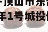 河南平顶山市东部城建2024年1号城投债定融