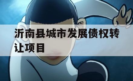 沂南县城市发展债权转让项目