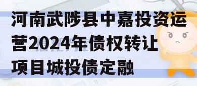 河南武陟县中嘉投资运营2024年债权转让项目城投债定融